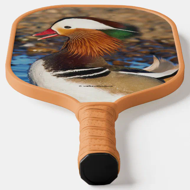 Beautiful Chatty Mandarin Duck at the Pond Pickleball Paddle