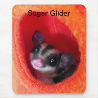 Sugar Glider in Orange Hanging Bed Mouse Pad