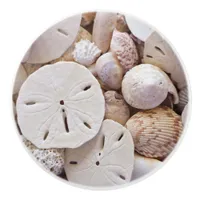 Shells and Sand dollar Ceramic Knob