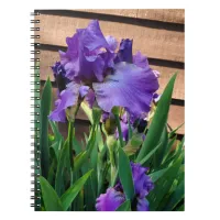 Pretty Purple Iris Floral Notebook