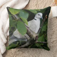 Eurasian Collared Dove Songbird on Cherry Tree Throw Pillow