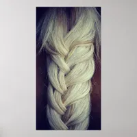 Braided Tail Poster
