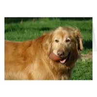 I've Got My Football