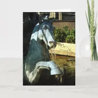 Neptune's Horse, Plaza Fountain Detail, Birthday Card