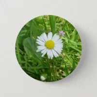 Pretty Little White and Yellow Miniature Daisy Button