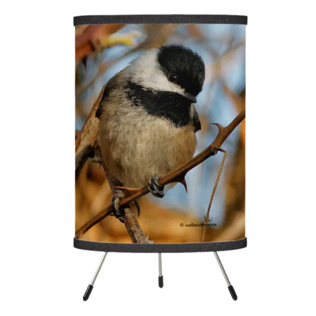 Cute Hopeful Black-Capped Chickadee Songbird Tripod Lamp