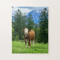 Cute cow in the pasture, photography jigsaw puzzle