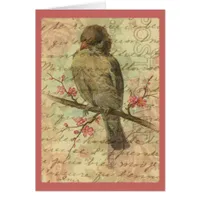 Vintage Sparrow Cards