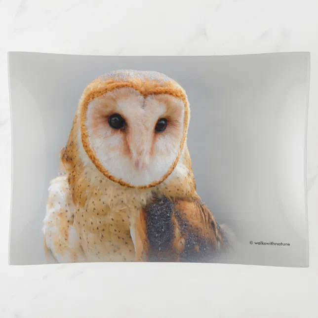 A Serene and Beautiful Barn Owl Trinket Tray