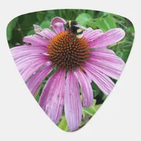 Bumblebee on Eastern purple Coneflower Guitar Pick