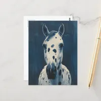 cyanotype Appaloosa Postcard
