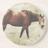 Bay Horse Coaster