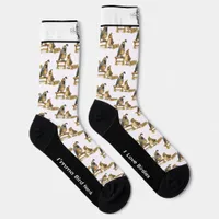 Adorable Gambel's Quail Bird Socks