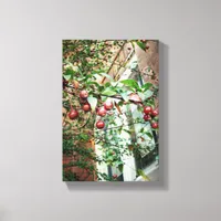 Crabapples Canvas Print