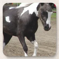 Pinto Mini Horse Drink Coaster