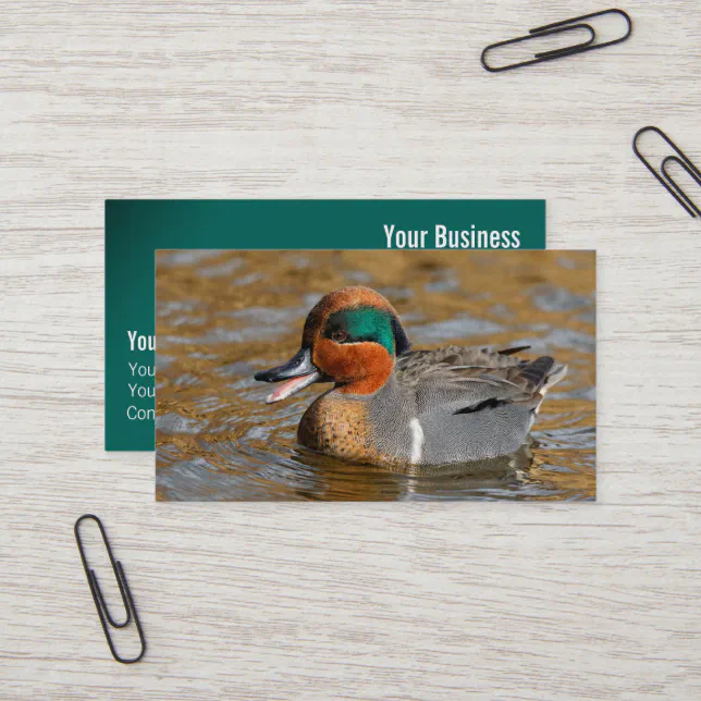 A Chatty Green-Winged Teal Duck at the Pond Business Card