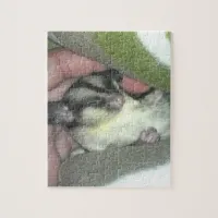 Sugar Glider Sleeping in Blanket Jigsaw Puzzle