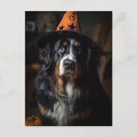 Adorable Halloween Bernese Mountain Dog Postcard