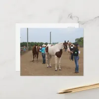 Horse Show Showmanship Paints and Quarter Horses Postcard