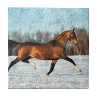 Winter Akhal-teke Tile