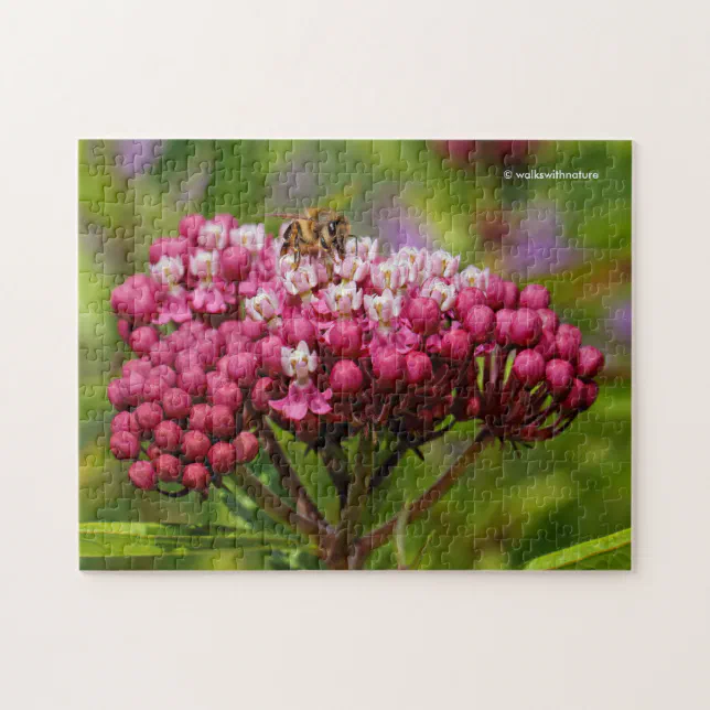 Honeybee on Narrowleaf Milkweed Jigsaw Puzzle