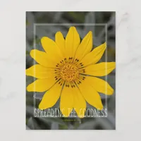 Happy Yellow Flower - Wishing you Joy Postcard