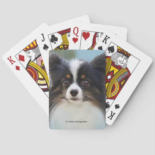 Cute Papillon Toy Spaniel Dog at the Dock Poker Cards