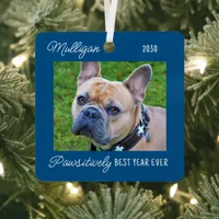 Cute Dog Quarantine Christmas Blue Pet Photo Metal Ornament