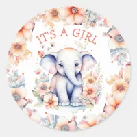 Elephant Themed Girl's Baby Shower