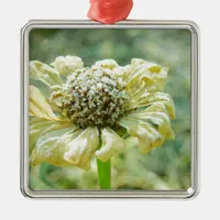 Frosty Zinna Metal Ornament