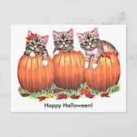 Kittens on Pumpkins for Halloween Postcard