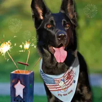 Funny "Fly the Coop" Patriotic 4th of July Dog  Pet Bandana Collar