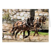 Two Horse Team Mixed Media Collage Cards
