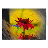 Coneflower Art #2