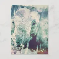 Elephant Postcard
