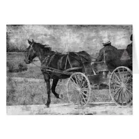 Trot Away Amish Horse in Black and White