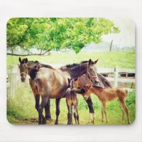 Mares and Foals Mouse Pad