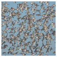 Stunning Winter Ducks in Flight Fabric