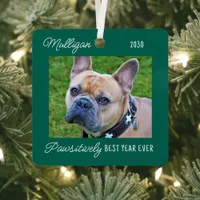 Cute Pet Photo Dog Lover Quarantine Christmas Metal Ornament