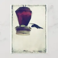 Hummingbird 2 postcard