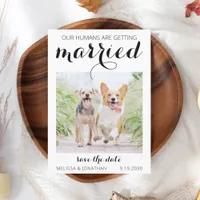 Modern Pet Photo Engagement Dog Wedding Save The D Save The Date