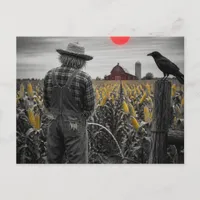 Funny Scarecrow Pees in Cornfield Postcard