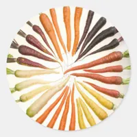 Rainbow Multicolored Carrots Classic Round Sticker