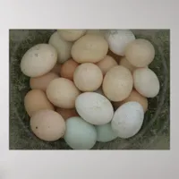 Basket of Eggs Poster