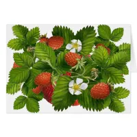 Vintage Strawberry Plant