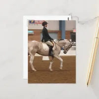 Paint Horse 134 at a Horse Show Postcard