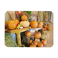 Happy Halloween Autumn Display Pumpkins Magnet