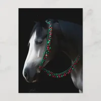 Christmas Horse Postcard