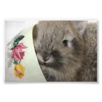 Lionhead Bunny and Teacup Photo Print