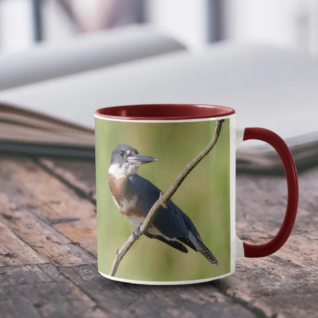 Female Belted Kingfisher Out on a Limb Mug